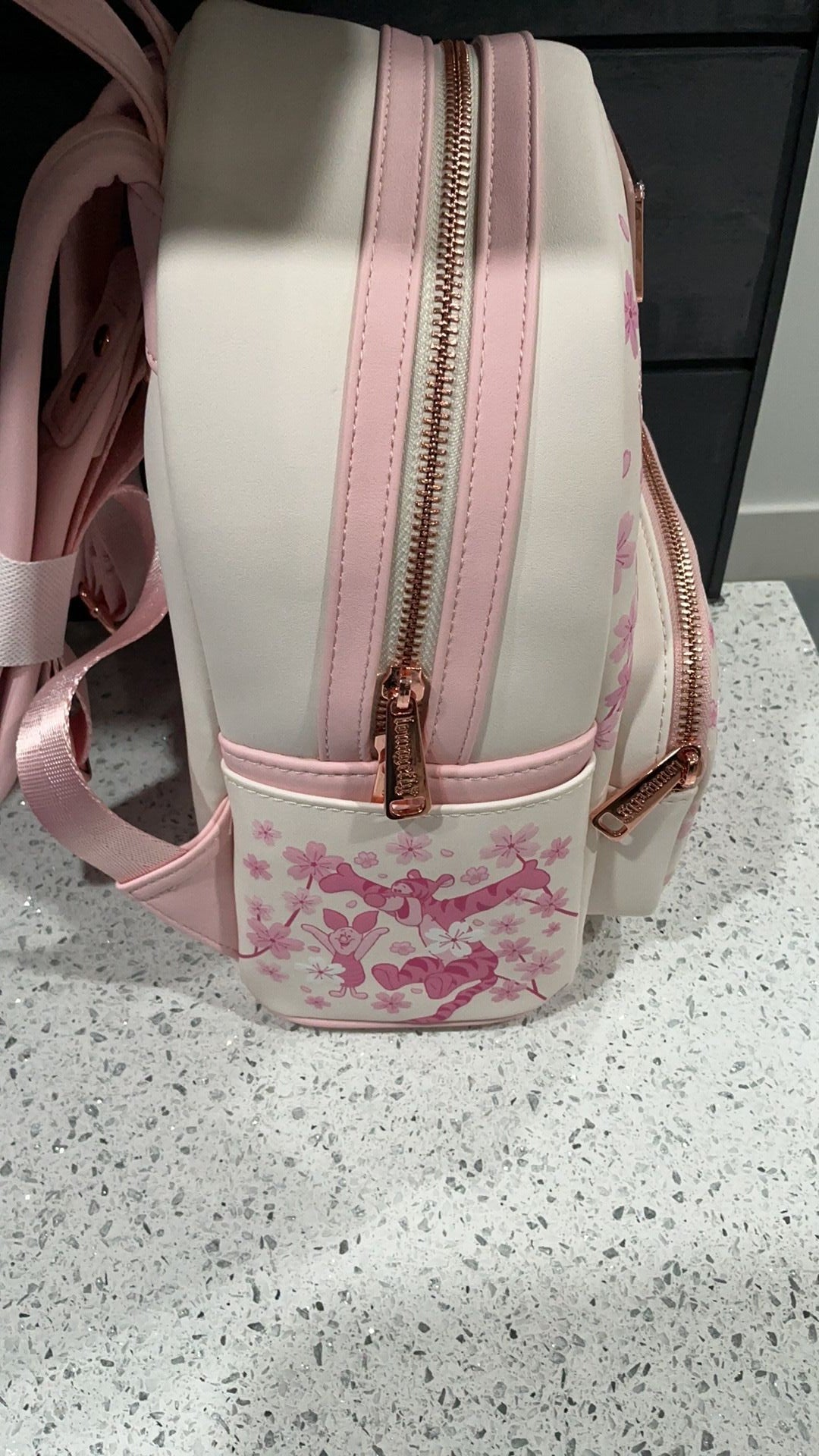 Winnie the Pooh backpack NWT