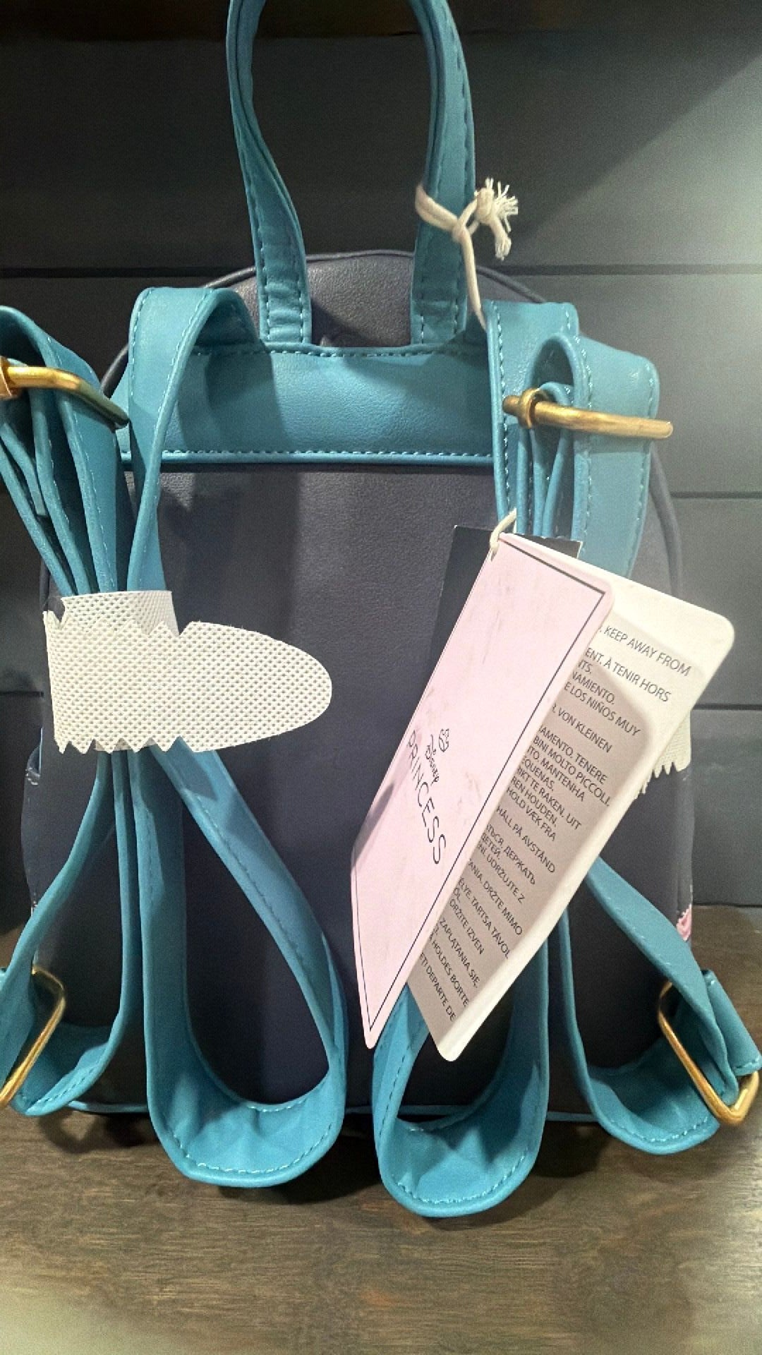 Cinderella backpack NWT