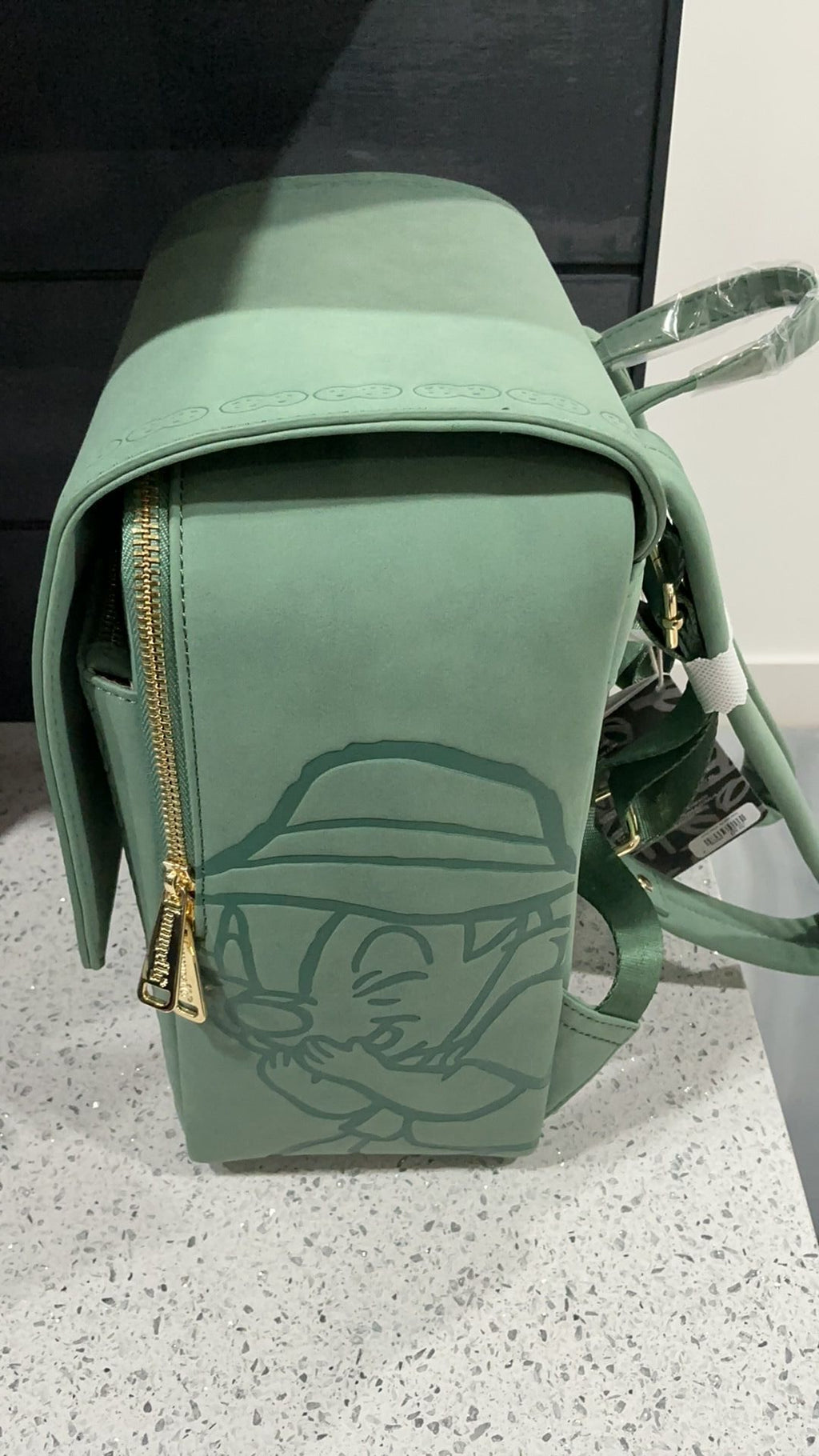 Chip and dale backpack NWT