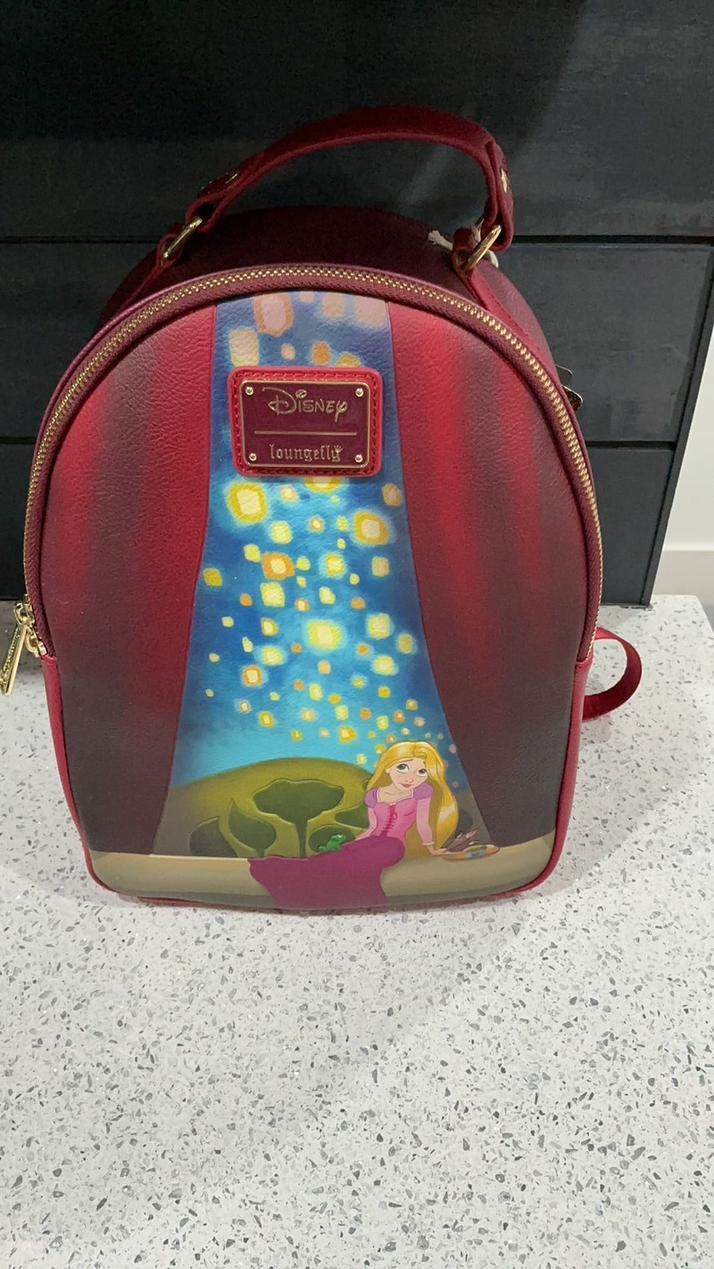 Rapunzal backpack NWT