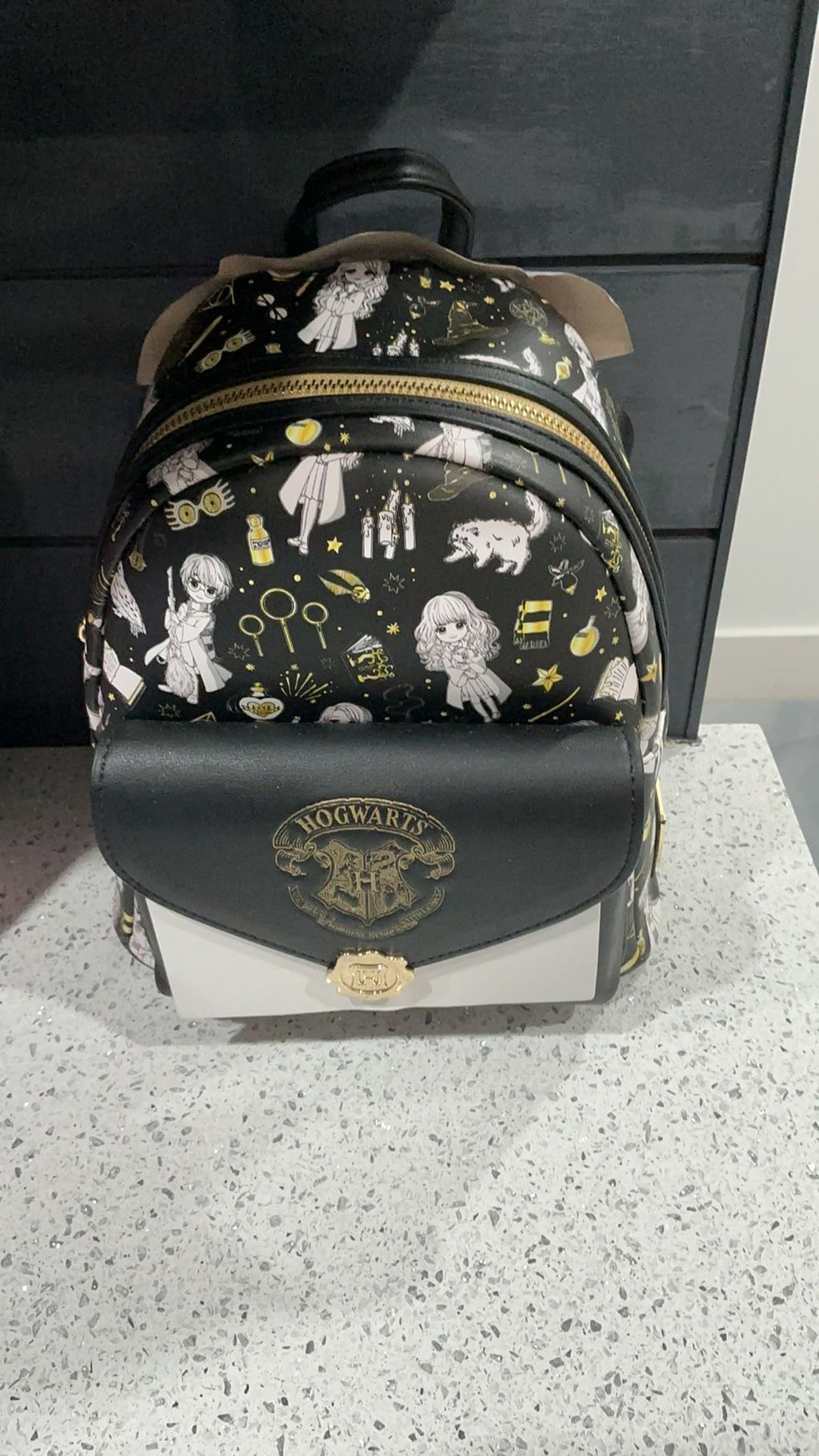 Harry Potter NWT Magical Elements All Over Mini Backpack by Loungefly