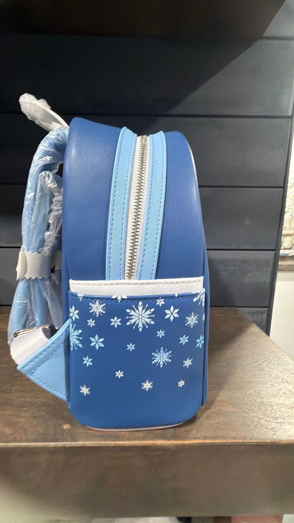Frozen Mini Backpack (Books-a-Million Exclusive)