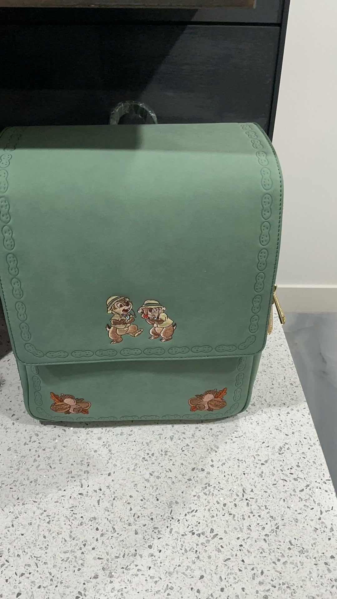 Chip and dale backpack NWT