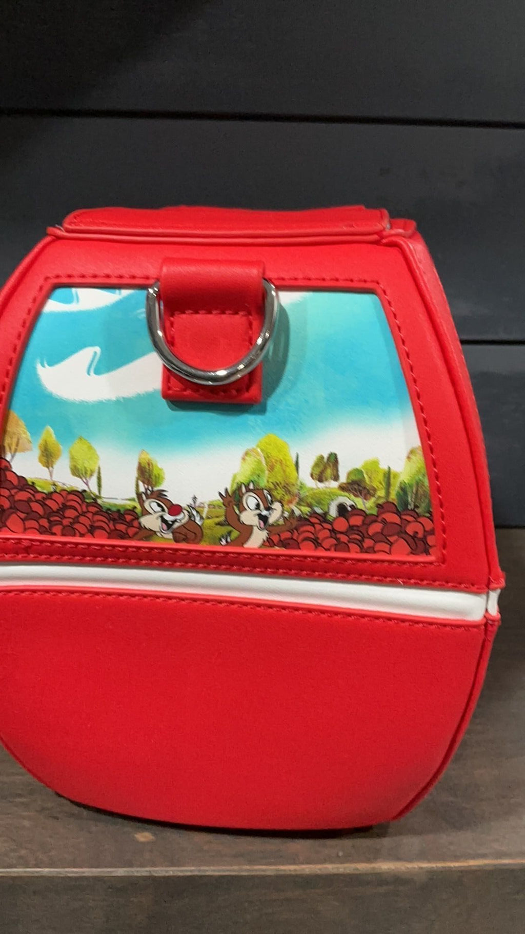 Skyliner crossbody NWT