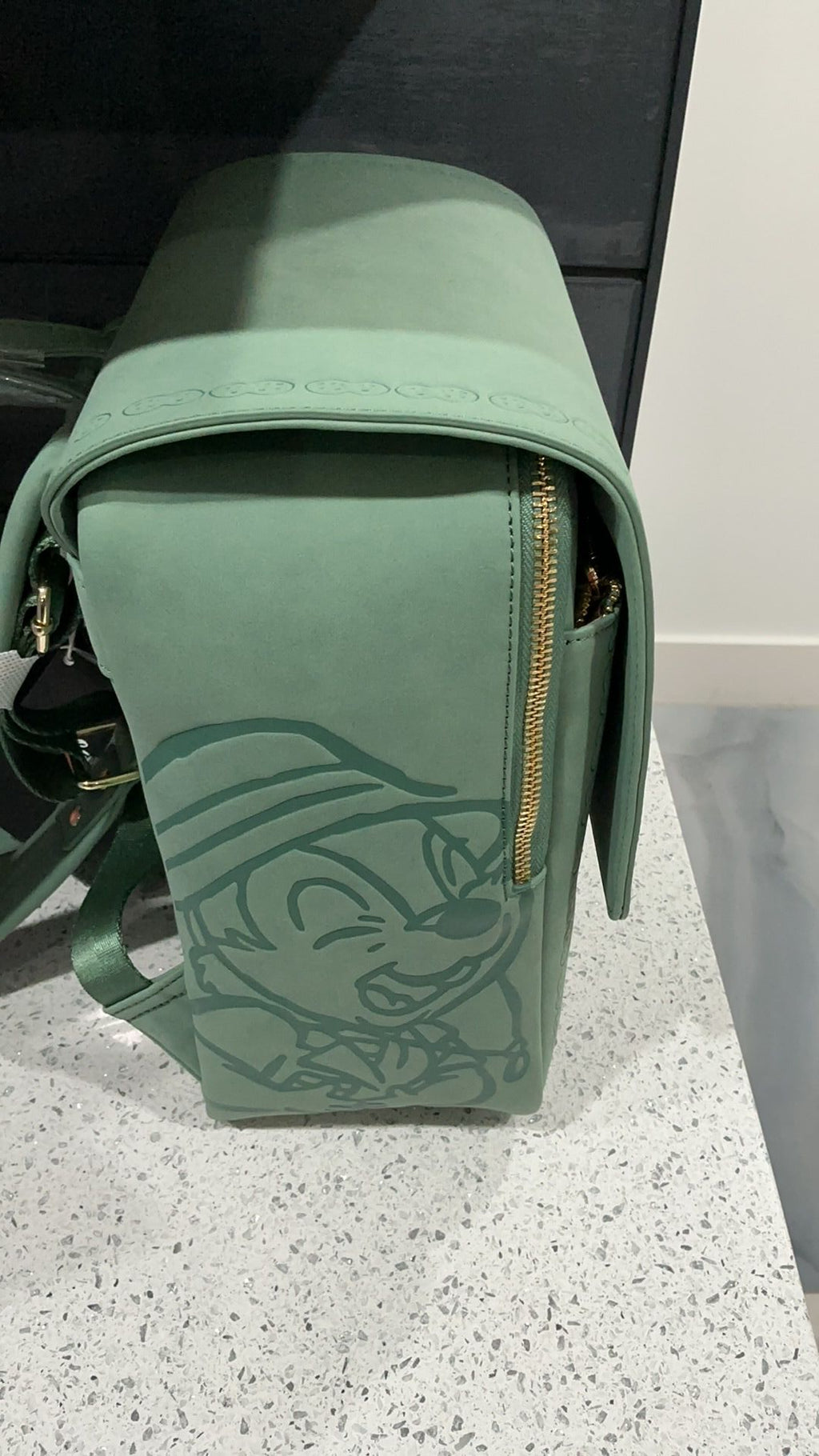 Chip and dale backpack NWT