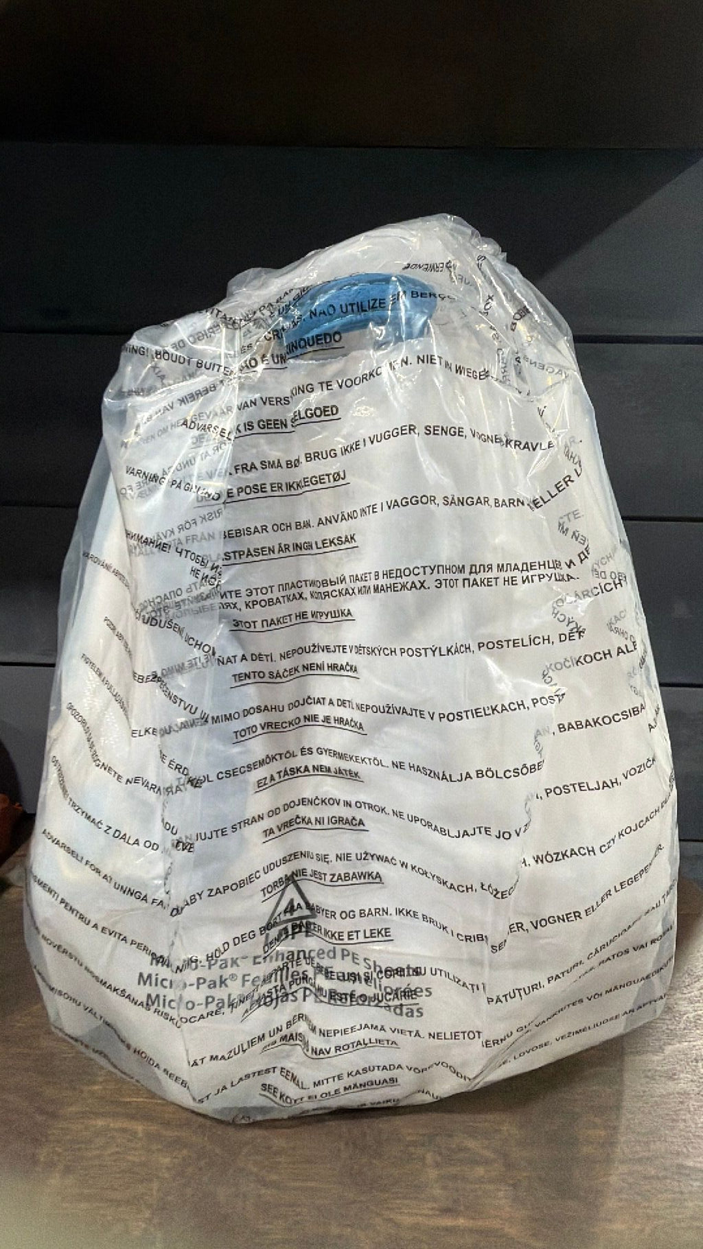 D23 Toy Story backpack