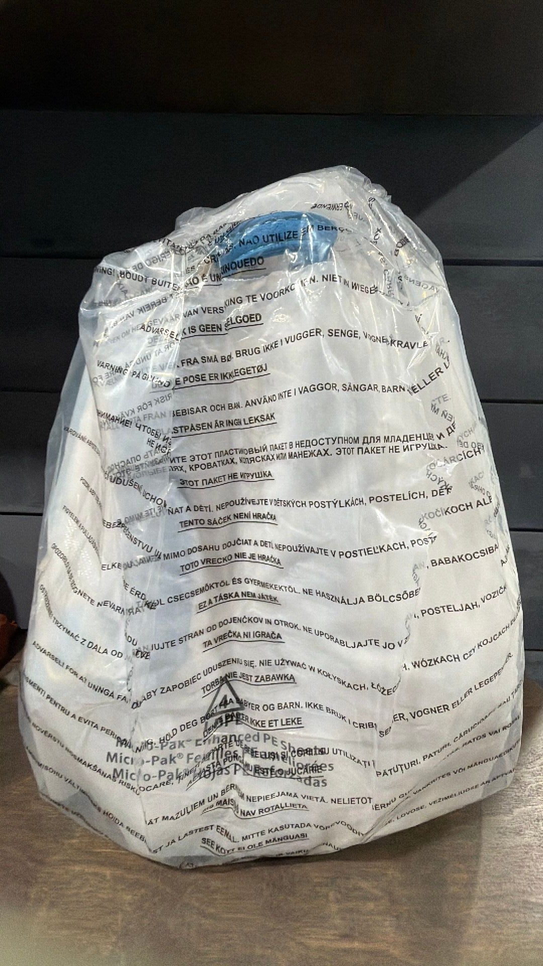 D23 Toy Story backpack